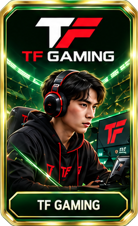 TFGAMING